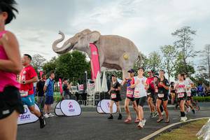 BIB: 
                            <button type="button" onclick="openModal(26528335)" class="btn btn-primary btn-sm float-right btn-popup" data-toggle="modal" data-target=".modal-high-quality">
                        <i class="fas fa-shopping-cart"></i> Add to Cart
                    </button>
                                            <button type="button" onclick="isThisMe(26528335, true)" class="btn btn-success btn-sm float-right btn-popup btn-isme hidden" data-toggle="tooltip" data-placement="bottom" title="นี่คือรูปของคุณใช่ไหม คลิกที่นี่เพื่อเอาเข้าอัลบั้ม">
                        <i class="fas fa-plus"></i> Add to album
                    </button>
                    <button type="button" onclick="isThisMe(26528335, false)" class="btn btn-warning btn-sm float-right btn-popup btn-isnotme hidden">
                        <i class="fas fa-ban"></i> Remove from album
                    </button>